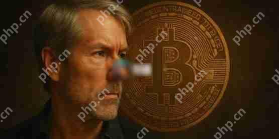 一文详细了解微策略再推210亿美元新融资计划！无惧q1亏损继续比特币买买买